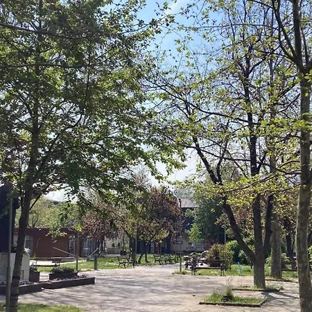 Hromey Vibe Skopje